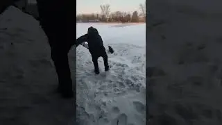 АХАХАХАХ #memes #пов #упал