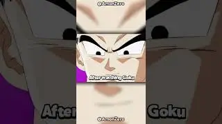 Gohan was NEVER wasted potential! | Dragon Ball 