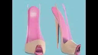 Peeptoe 2018 disclosure