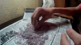 Как правильно разбить мелкого мотыля