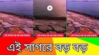 এই সাগরে বড় বড় মাছ রয়েছে