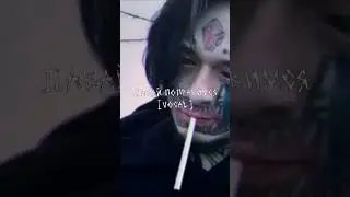 автостопом по фазе сна - давай поправимся [вокал без музыки]  #кишлак  #апфс  #автостопомпофазесна