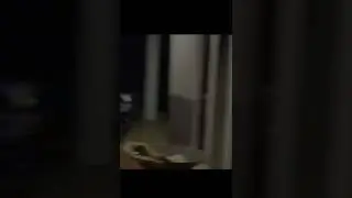 Siapakah yang bisa menawan hati Mimi ? Laming atau Elriss ?!!!