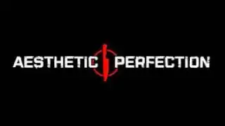 Lady GaGa - Love Game (Aesthetic Perfection Remix)