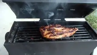 Mini Grill 2011.wmv