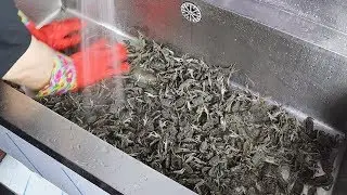 [Eng sub] Thousands of freshwater crab fry in cast iron pot! Cooking & Eating Mukbang Show