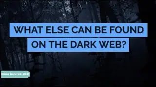 WHAT ELSE CAN BE FOUND ON THE DARK WEB?