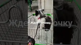 Ждем папочку 🥰
