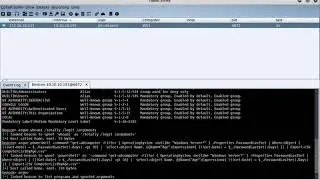 Process Argument Spoofing