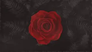Serenade - rosa bordô (Lyric Oficial)