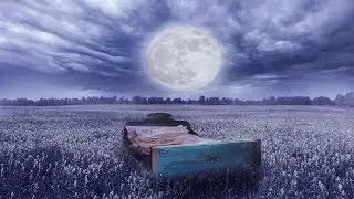 Night Lullaby Beats || Best lofi music to relax || lo-fi hip hop mix