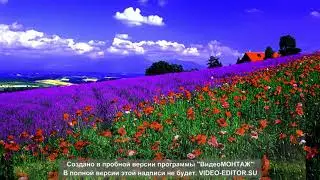Грация плюс 89 занятие Финал танцв