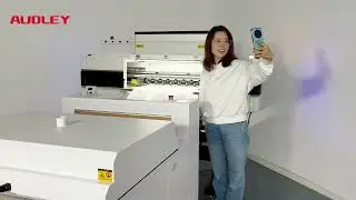 AUDLEY New Arrival 60cm DTF Printer, How New? Please check. ##dtfprinting #inkjetprinter #plotter