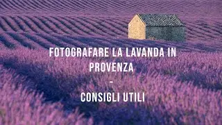 Fotografare la lavanda in Provenza - Consigli Utili