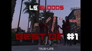 Bloods #1 Best Moments - ( True-life.gg )