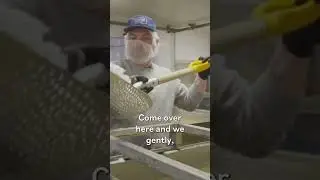 How the best sea salt is made from ocean water