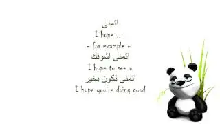 Learn Arabic slang - on chat
