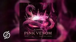 BLACKPINK - PINK VENOM (MIYØØ Unofficial Version)