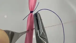 Blood Vessel Ligation (constrictor knot and transfixing ligature)