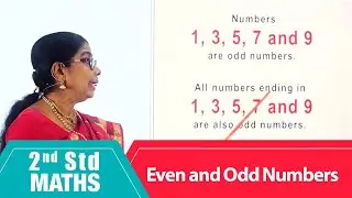 2nd Std Maths | Even and Odd Numbers |  Mathematics Class -2 | Maths Part-157