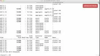 Course NetApp ONTAP Cluster Basics  tutorial