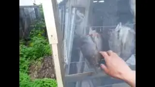 Сушилка для Рыбы