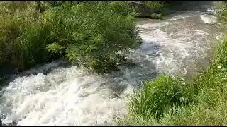 р. Чамлык. ст. Константиновская