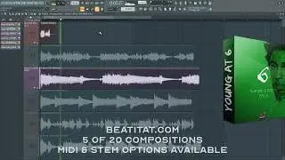 NBA YoungBoy Sample & MIDI Pack Preview | Young AT 6