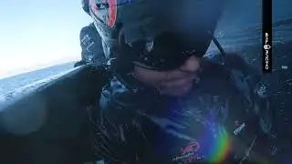 Alinghi Red Bull Racing