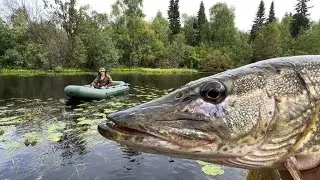 Hunting the lake CROCODILE: it really made me nervous!