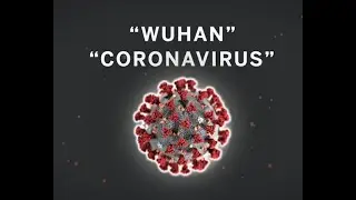 Coronavirus, estiramiento, caminata, ejercicio, COVID-19, ¡sea amable! Parque Dr. Strubbe Pinellas