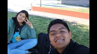 Proyecto 1 Alejandro´s Friends | Nocturnal - Shaun