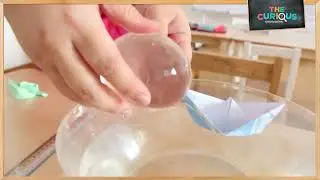 Discovering Iceberg Secrets: Fun Density Experiment!