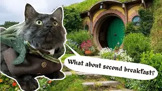 Making my cat into the cute little hobbit that she is 🐈‍⬛