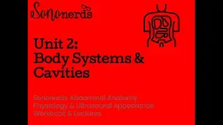 Body Systems & Cavities :: Unit 2 :: Normal Abdominal Ultrasound with Sononerds