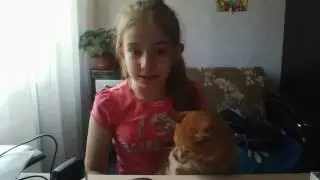мой кот