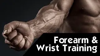 Forearm Workout for Martial Arts: best Forearms Exercises | Martial Arts Explained