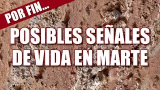 PRIMERAS SEÑALES DE VIDA EN MARTE 2024 - Mars Perseverance rover