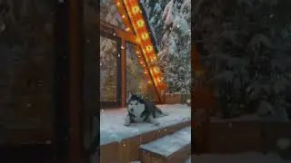 Природа,лайка #mountains #shorts #reels #snow #архыз #горы #домбай #зима #краснаяполяна #любовь