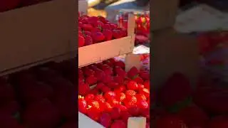 "Bu Yıl Da Üretim Kapasitesinin Üzerine Çıkacağız"