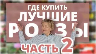 ЛУЧШИЕ ПИТОМНИКИ РОЗ 2 часть! Народный рейтинг РОЗАНОСТРЫ!😎 🌹 2 марта 2024 г.