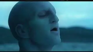 зе форест