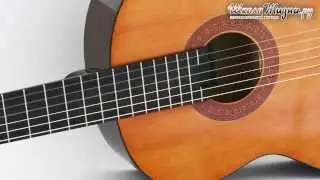 Из какого Дерева Делают Гитары?
