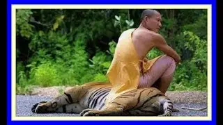 Like A Boss Pics Compilation 2018#1