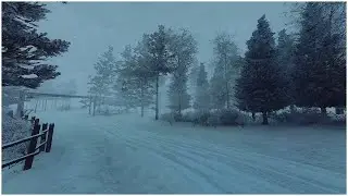Freezing Blizzard Sounds for Sleeping in the Mountain┇Howling Wind Storm & Loud Blowing Snow
