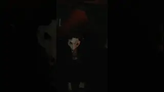 Um pouco do meu Halloween 