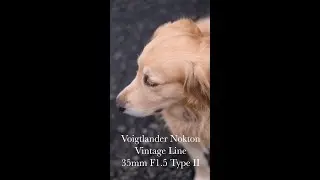 Voigtlander Nokton Vintage Line 35mm F 1.5 Type II