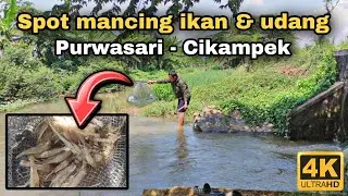 Mancing liar Ikan Udang daerah Purwasari Cikampek [4K]
