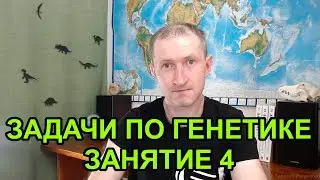 Задачи по генетике - 4. Первый закон Менделя