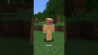 MINECRAFT SPEEDRUN WORLD RECORD (4:827) (with commands) 